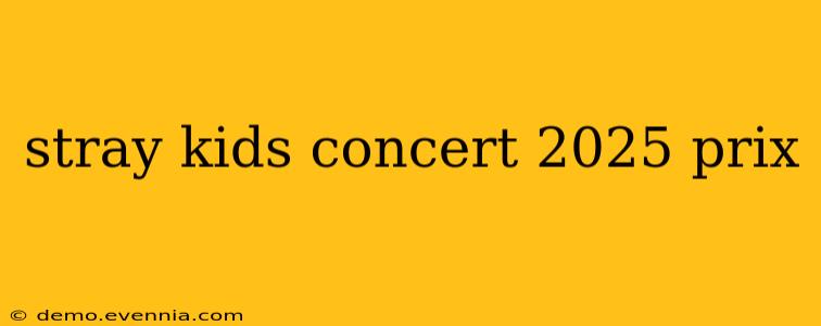 stray kids concert 2025 prix