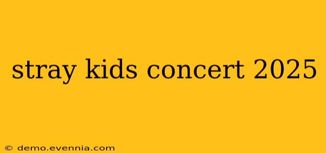 stray kids concert 2025