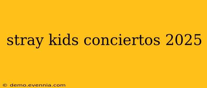 stray kids conciertos 2025