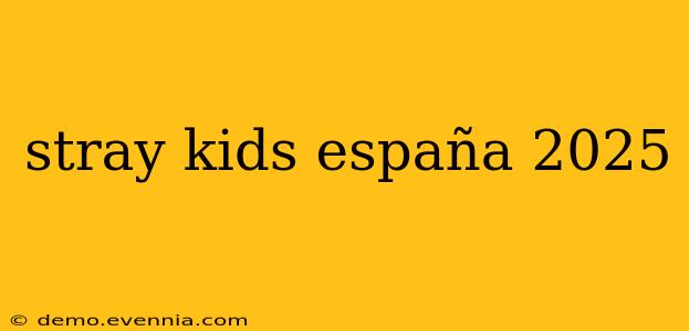 stray kids españa 2025