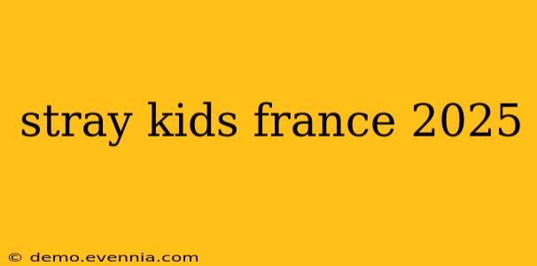 stray kids france 2025