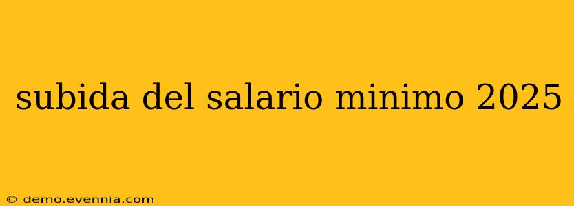 subida del salario minimo 2025