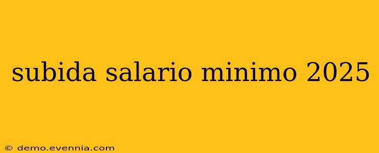 subida salario minimo 2025