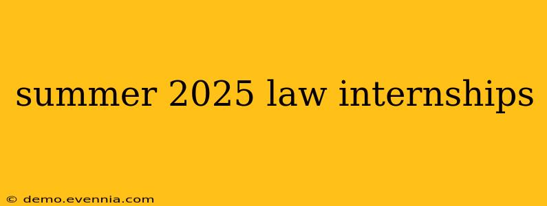 summer 2025 law internships