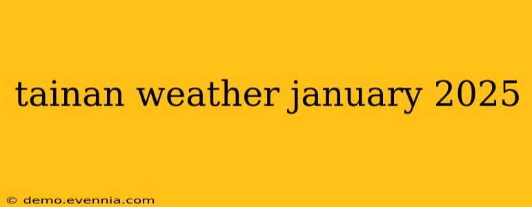 tainan weather january 2025