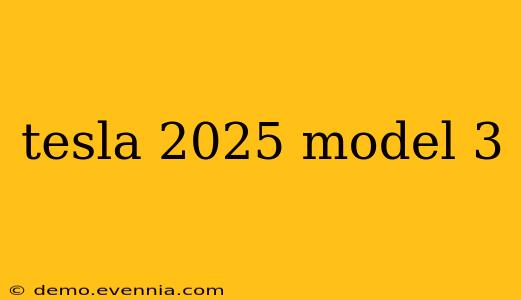 tesla 2025 model 3