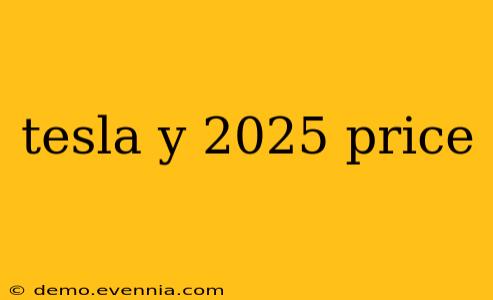 tesla y 2025 price