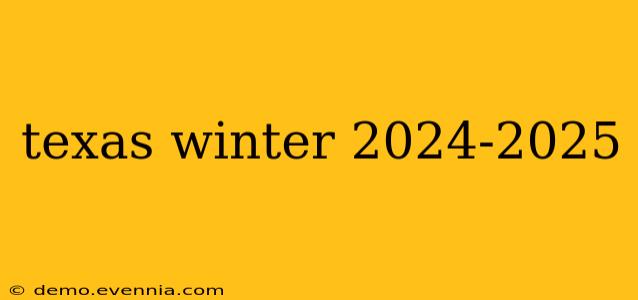 texas winter 2024-2025