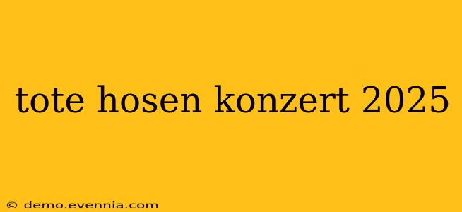 tote hosen konzert 2025