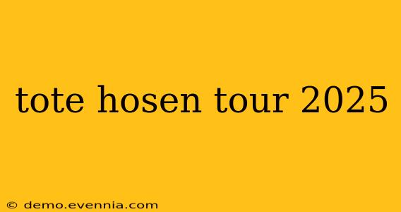 tote hosen tour 2025