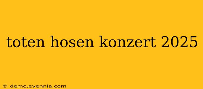 toten hosen konzert 2025