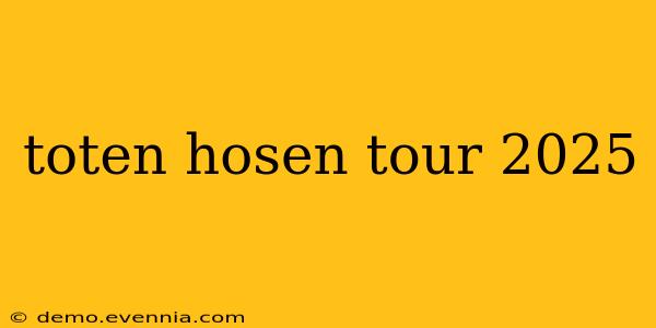 toten hosen tour 2025