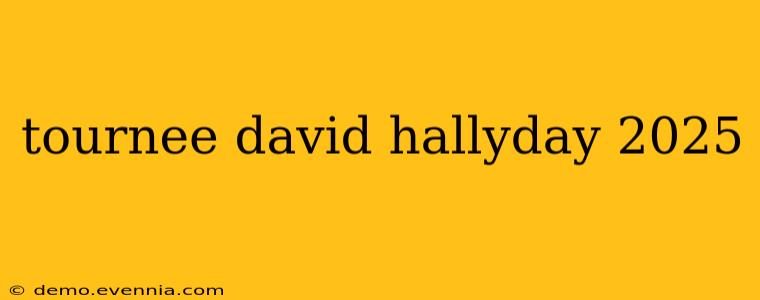 tournee david hallyday 2025