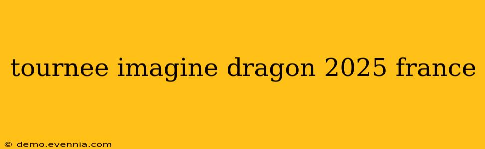 tournee imagine dragon 2025 france