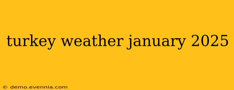 turkey weather january 2025