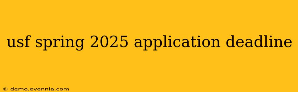 usf spring 2025 application deadline