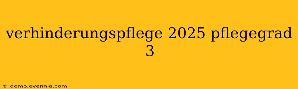 verhinderungspflege 2025 pflegegrad 3