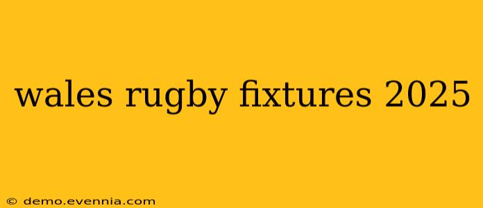 wales rugby fixtures 2025