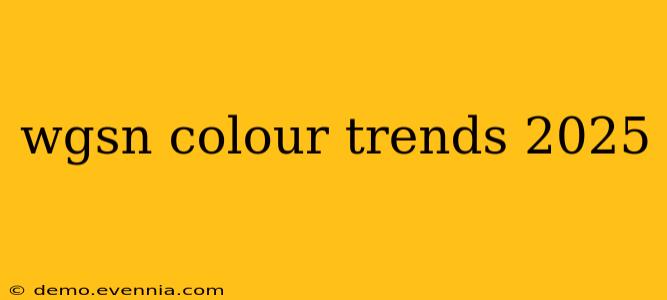 wgsn colour trends 2025