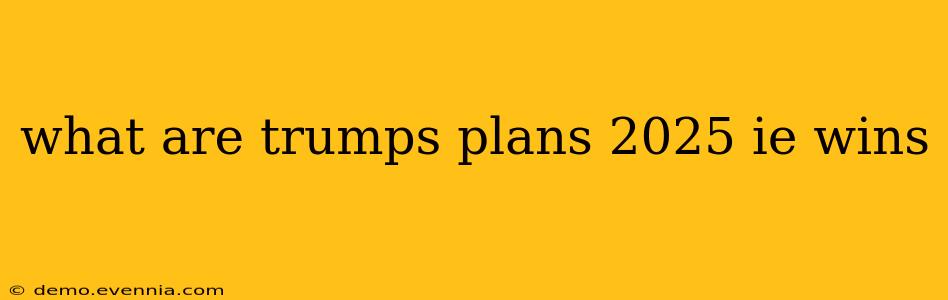 what are trumps plans 2025 ie wins