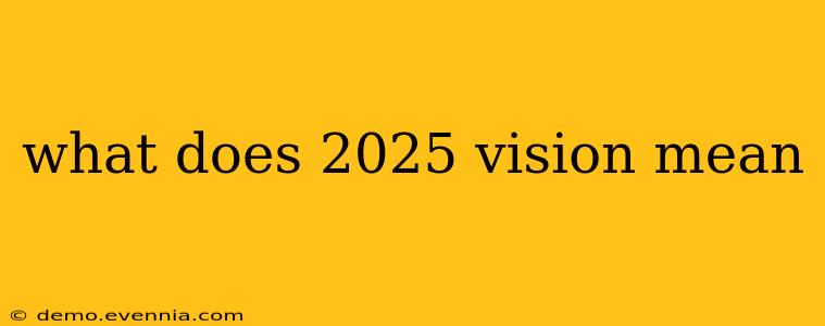 what does 2025 vision mean