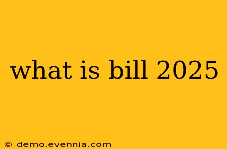 what is bill 2025