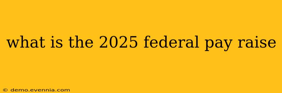 what is the 2025 federal pay raise