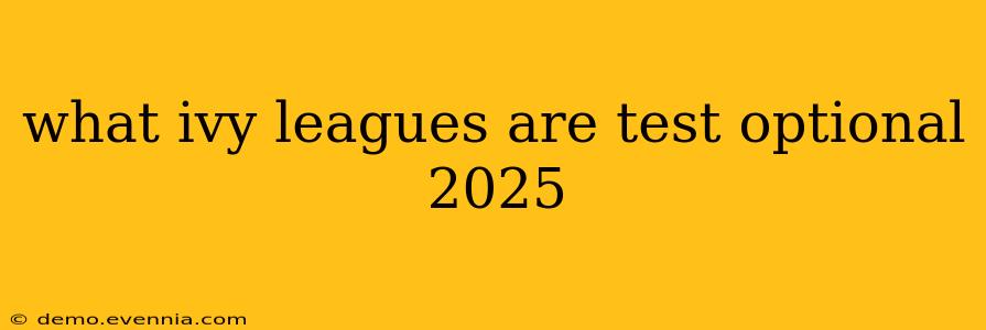 what ivy leagues are test optional 2025