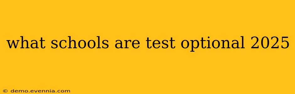 what schools are test optional 2025