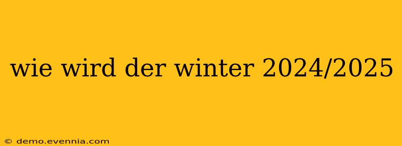 wie wird der winter 2024/2025