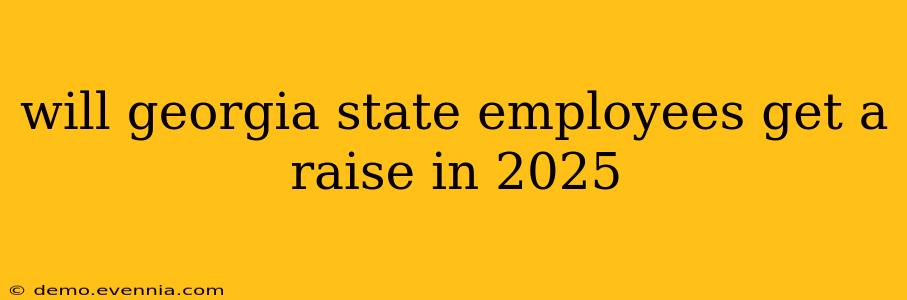 will georgia state employees get a raise in 2025