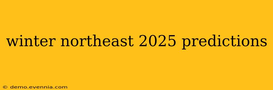 winter northeast 2025 predictions