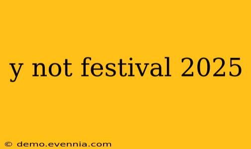 y not festival 2025